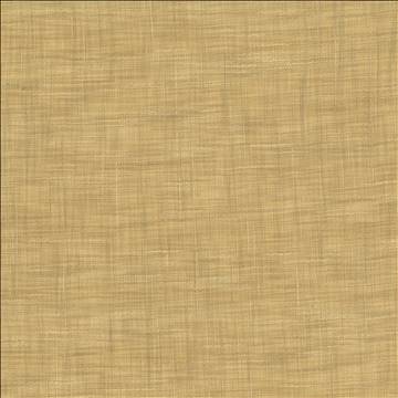 Kasmir Fabrics Tao Texture Parchment Fabric 